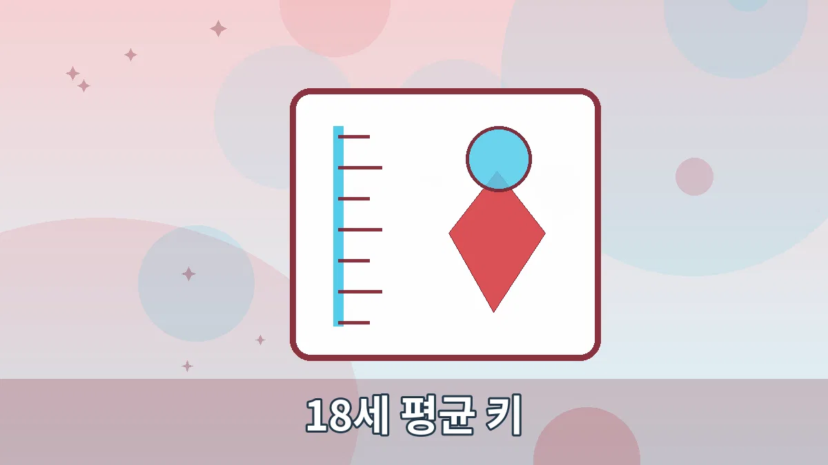 18세 평균 키 안내 이미지 2